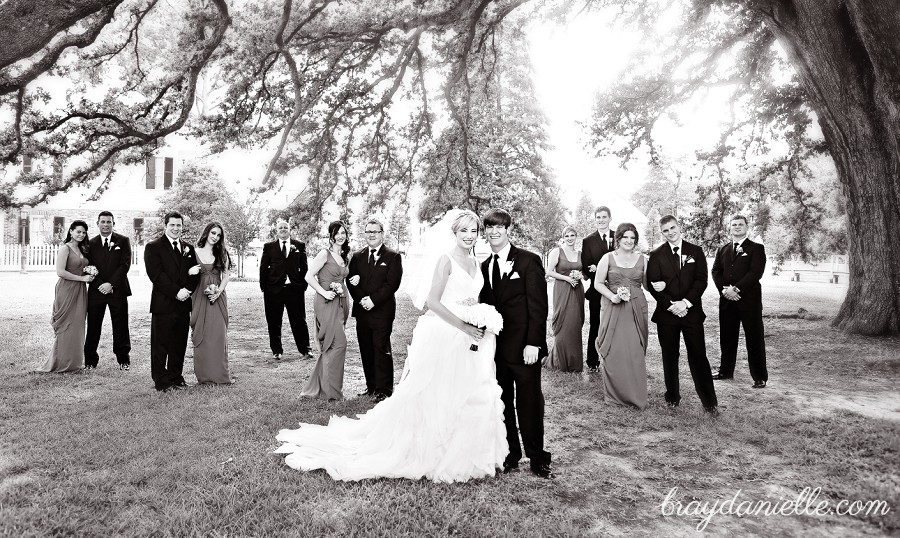 Wedding party posed portrait