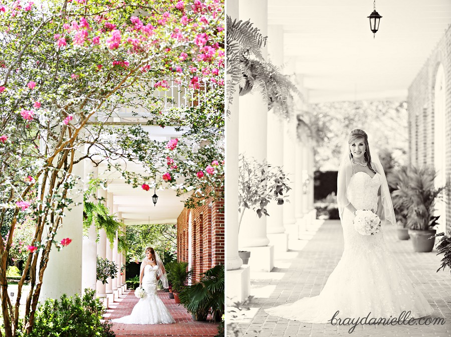 pink flower tree bridal portrait by Bray Danielle Photography 