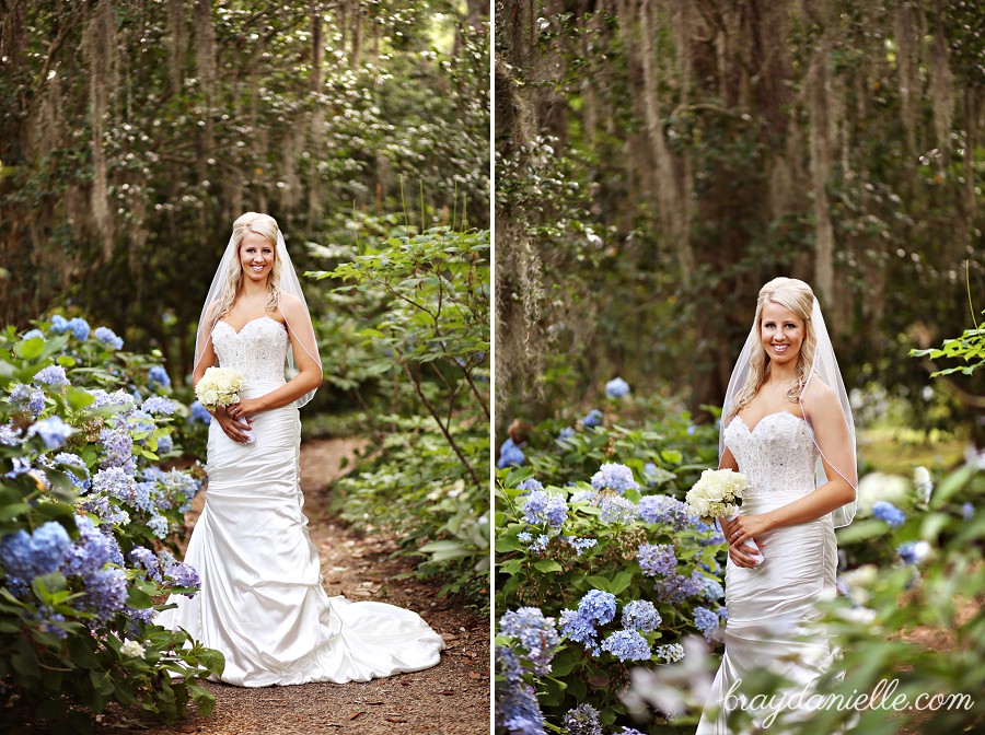 bridal portrait in garden of hydrangeas by Bray Danielle Photography 