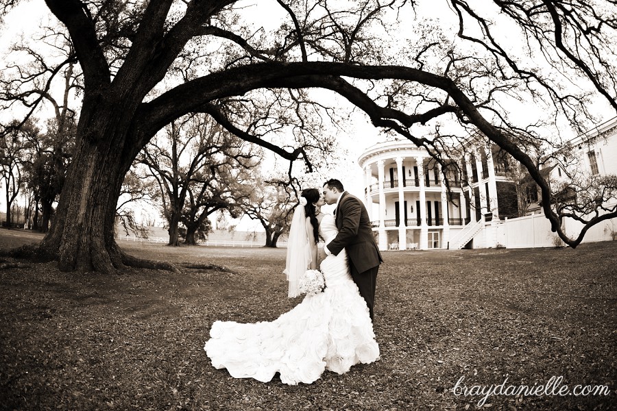 bride and groom under oak tree